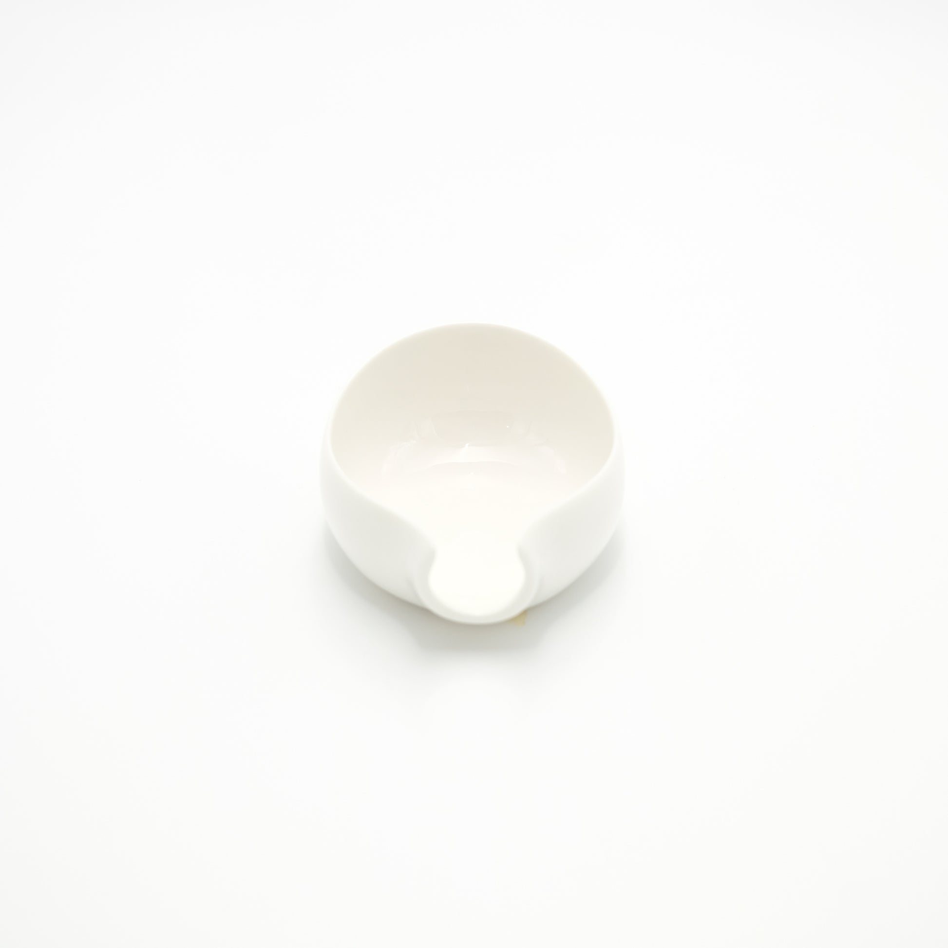 Tea Leaves Display Holder (Green/White)