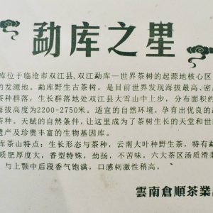 Meng Ku Zhi Xing Compress Tea (Raw Green Pu Er)